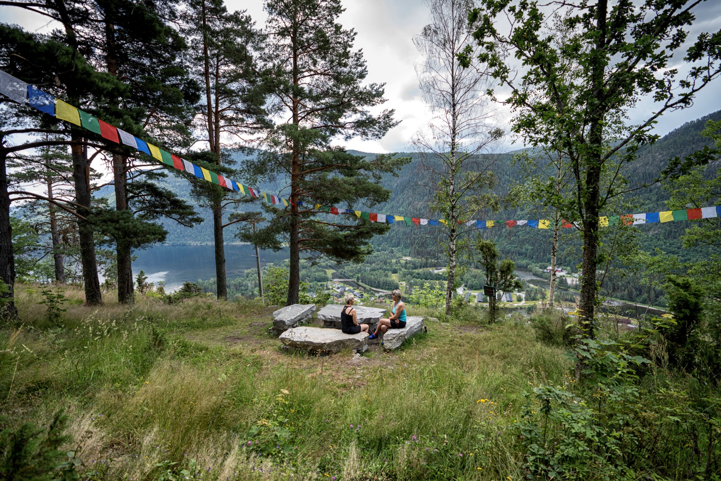 Rui-plassen (sco_13_7_19_40789-edit.jpg)