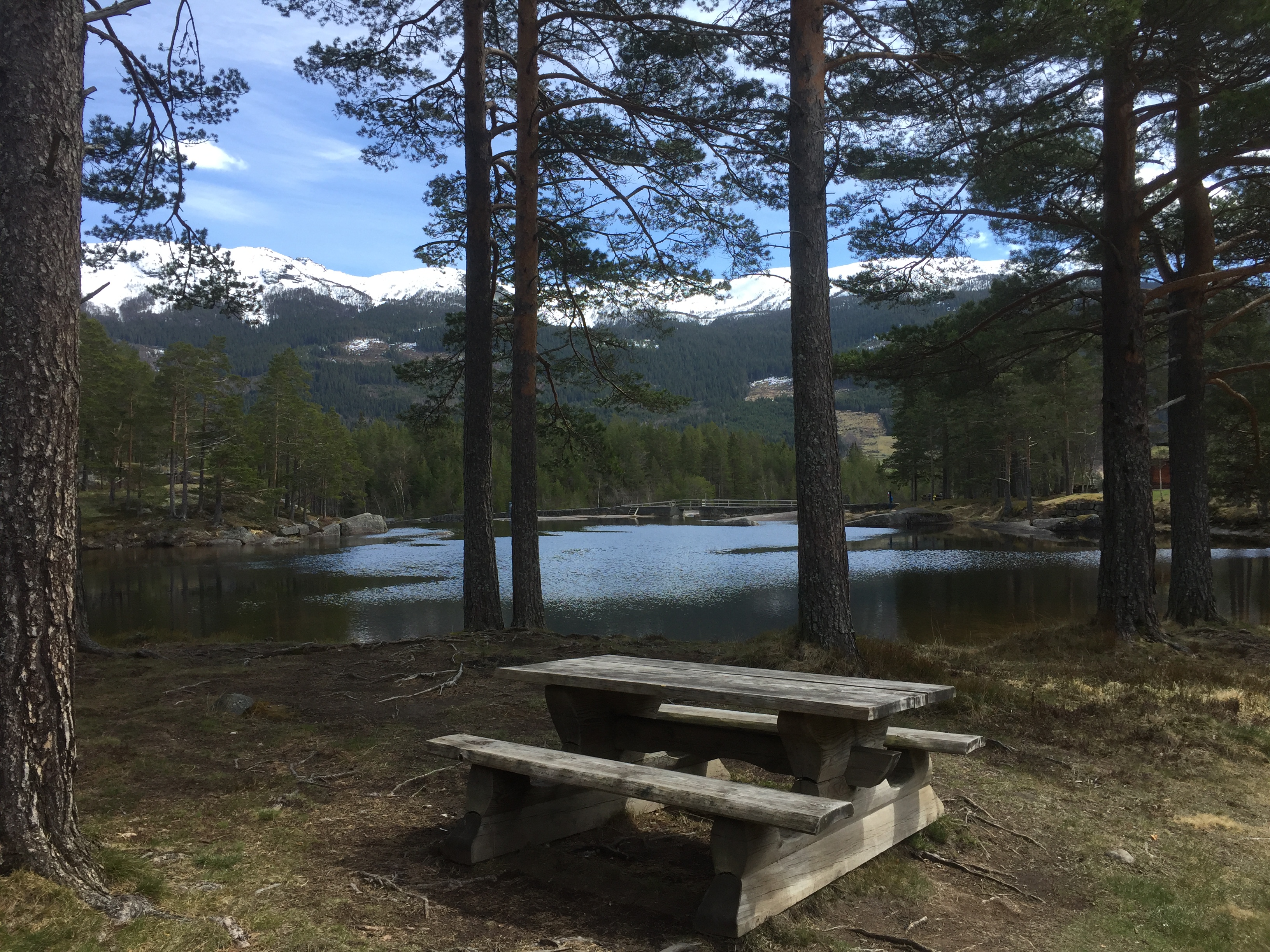 Honnevje rasteplass og badeplass (honnevje-rastebord.jpg)