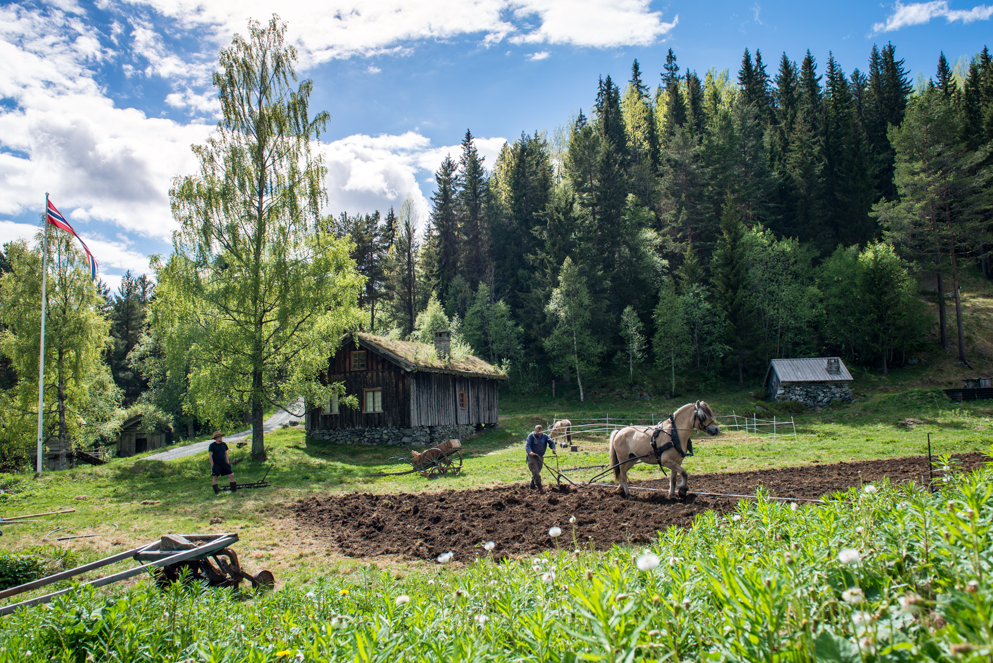 Vest-Telemark museum Eidsborg (morratryne-5745.jpg)