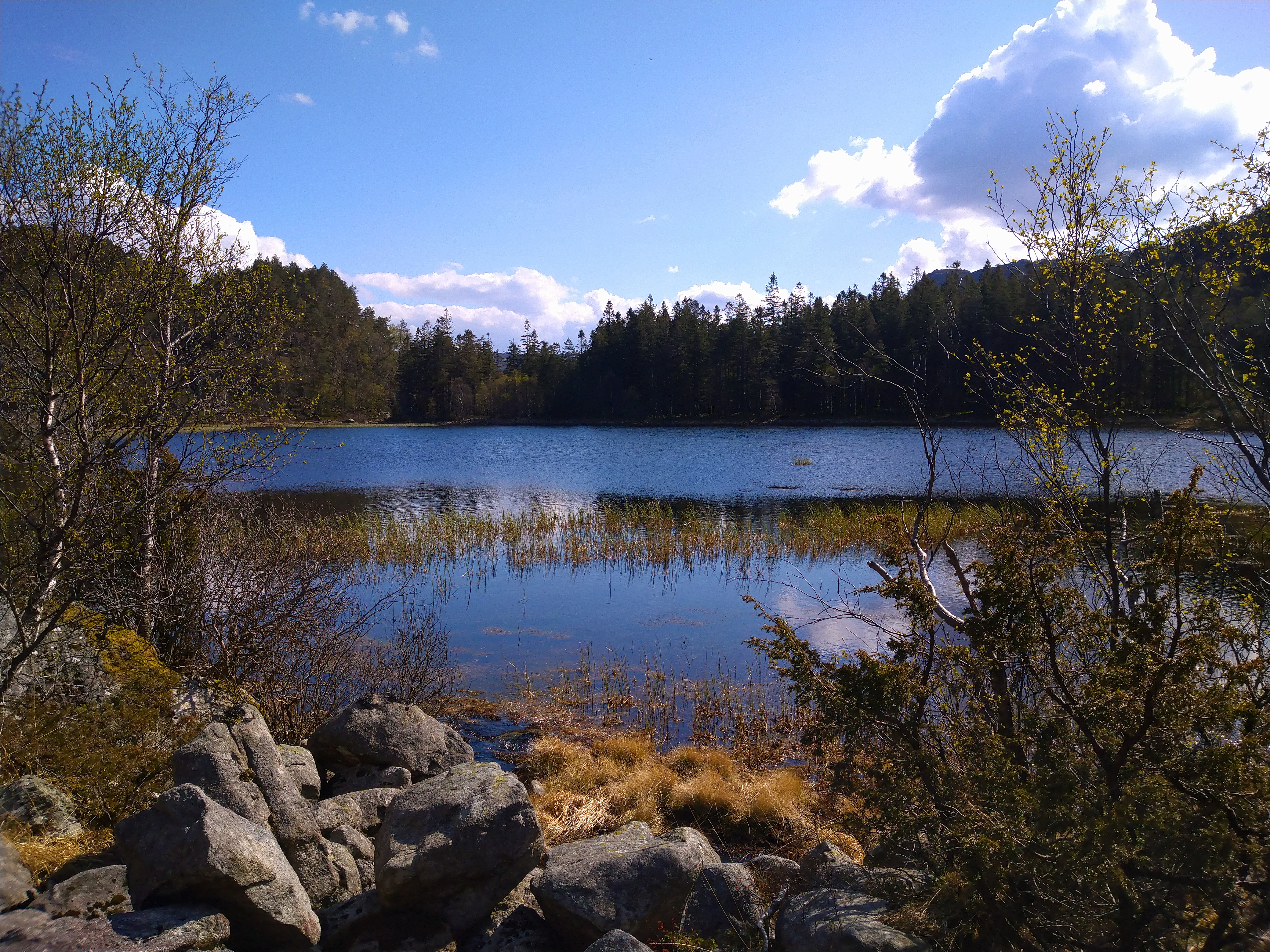 Turstier og toppturer i Bjerkreim. (018.jpg)
