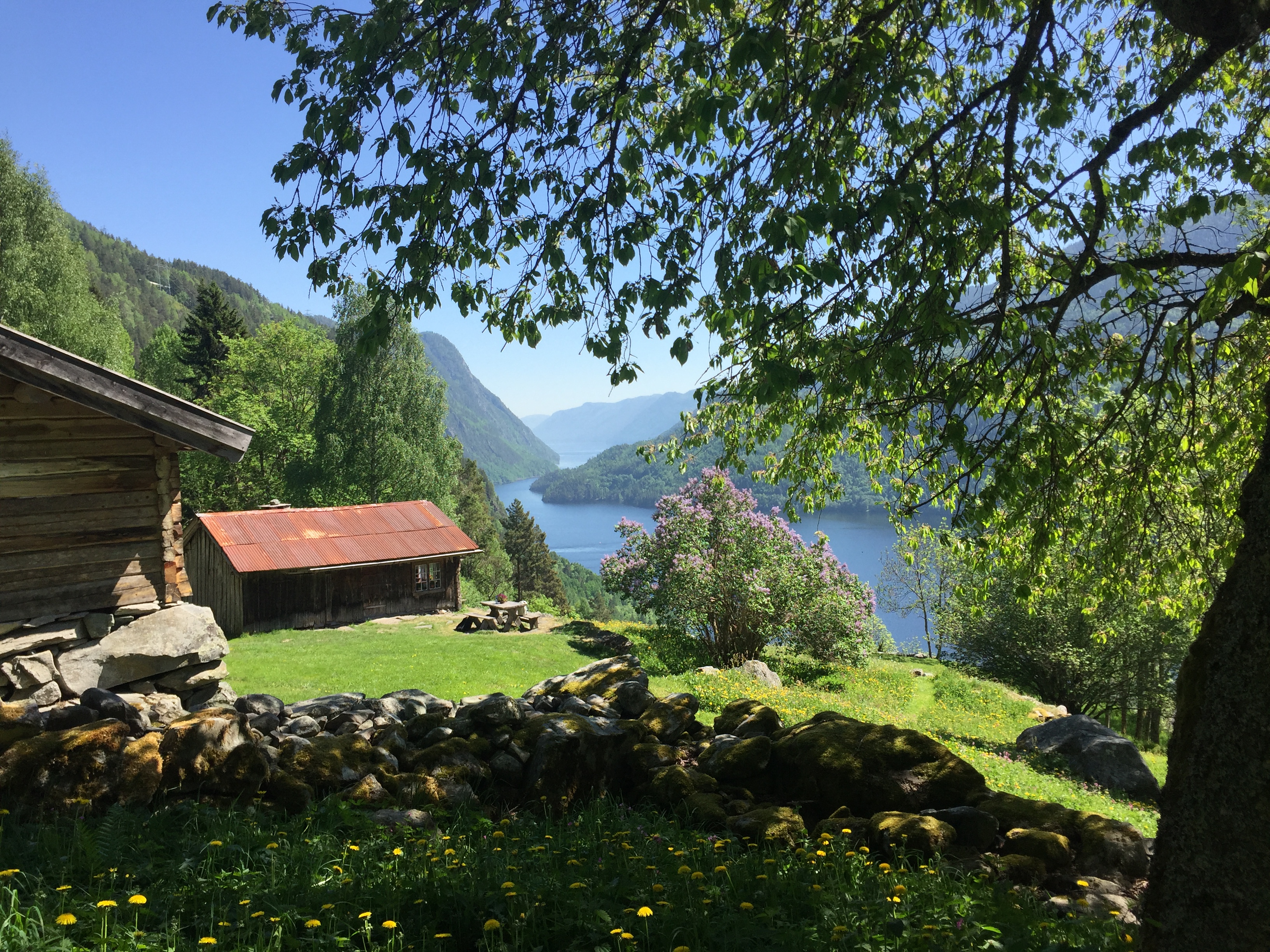 Rui-plassen (img_7413.jpg)