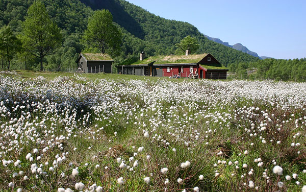 Friluftsgarden Mån (myrull3_06-1.jpg)