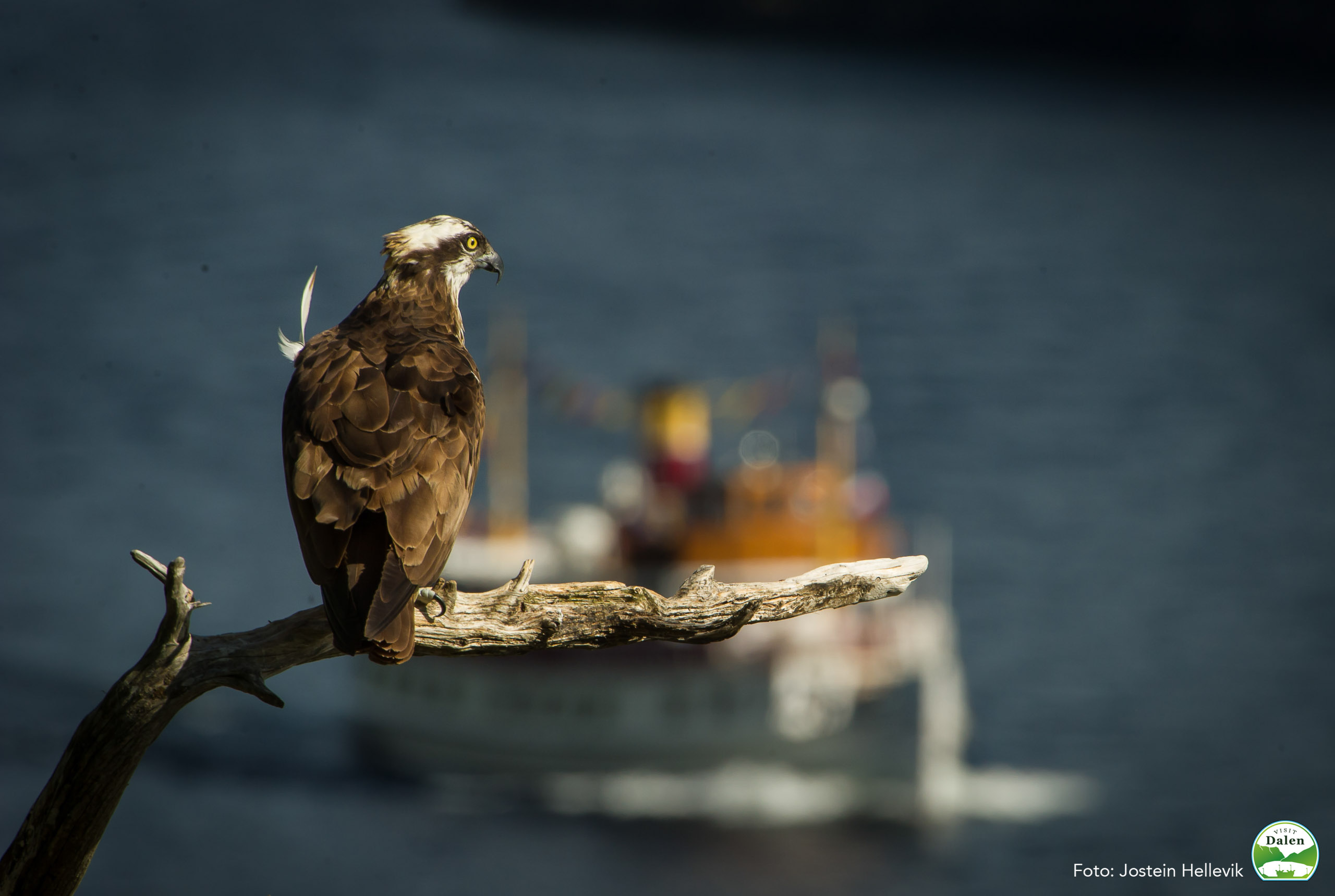 Lårdalstigen (_wlp9513.jpg)