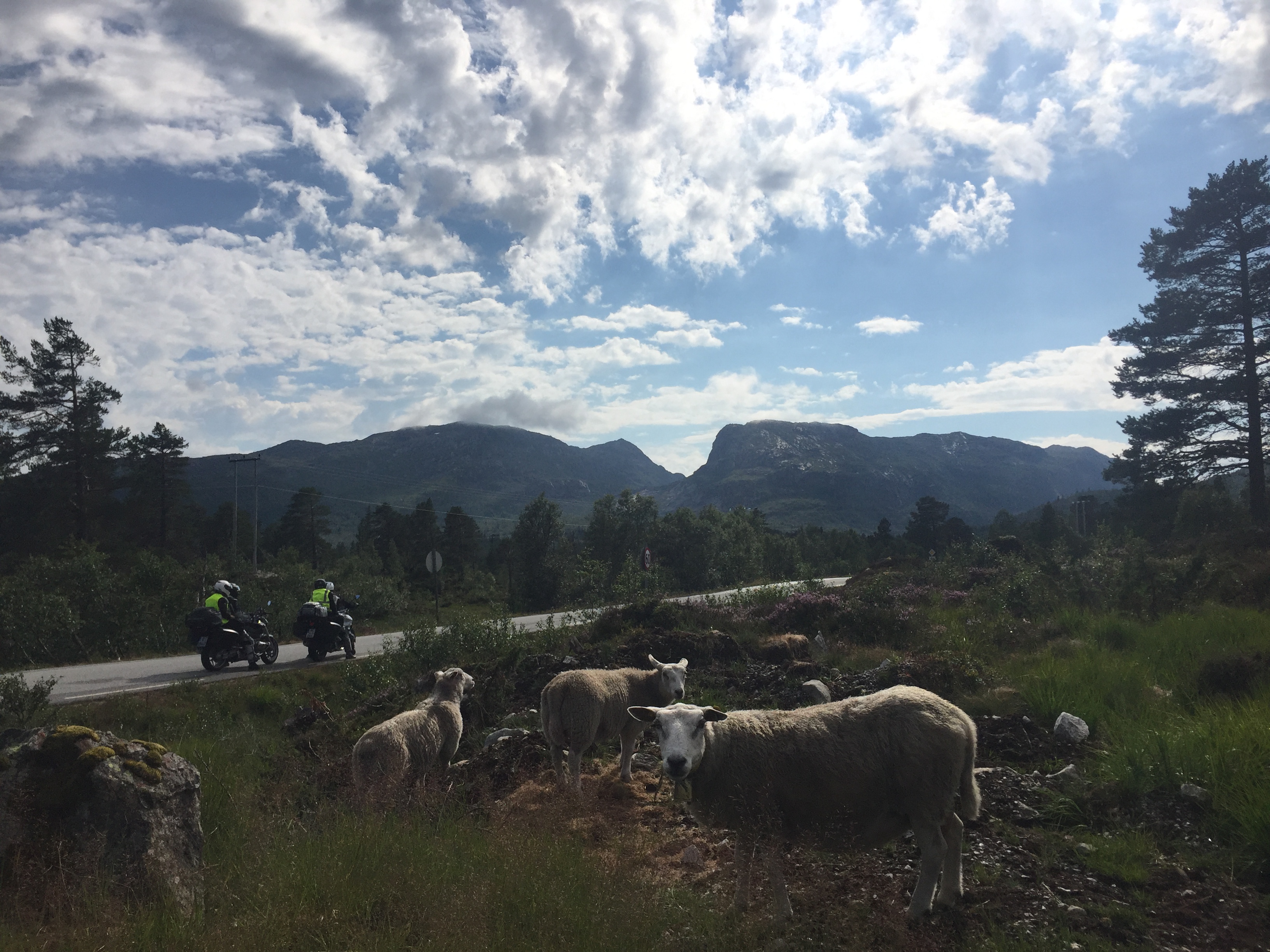 Hallbjønn Høyfjellsenter (img_8067.jpg)