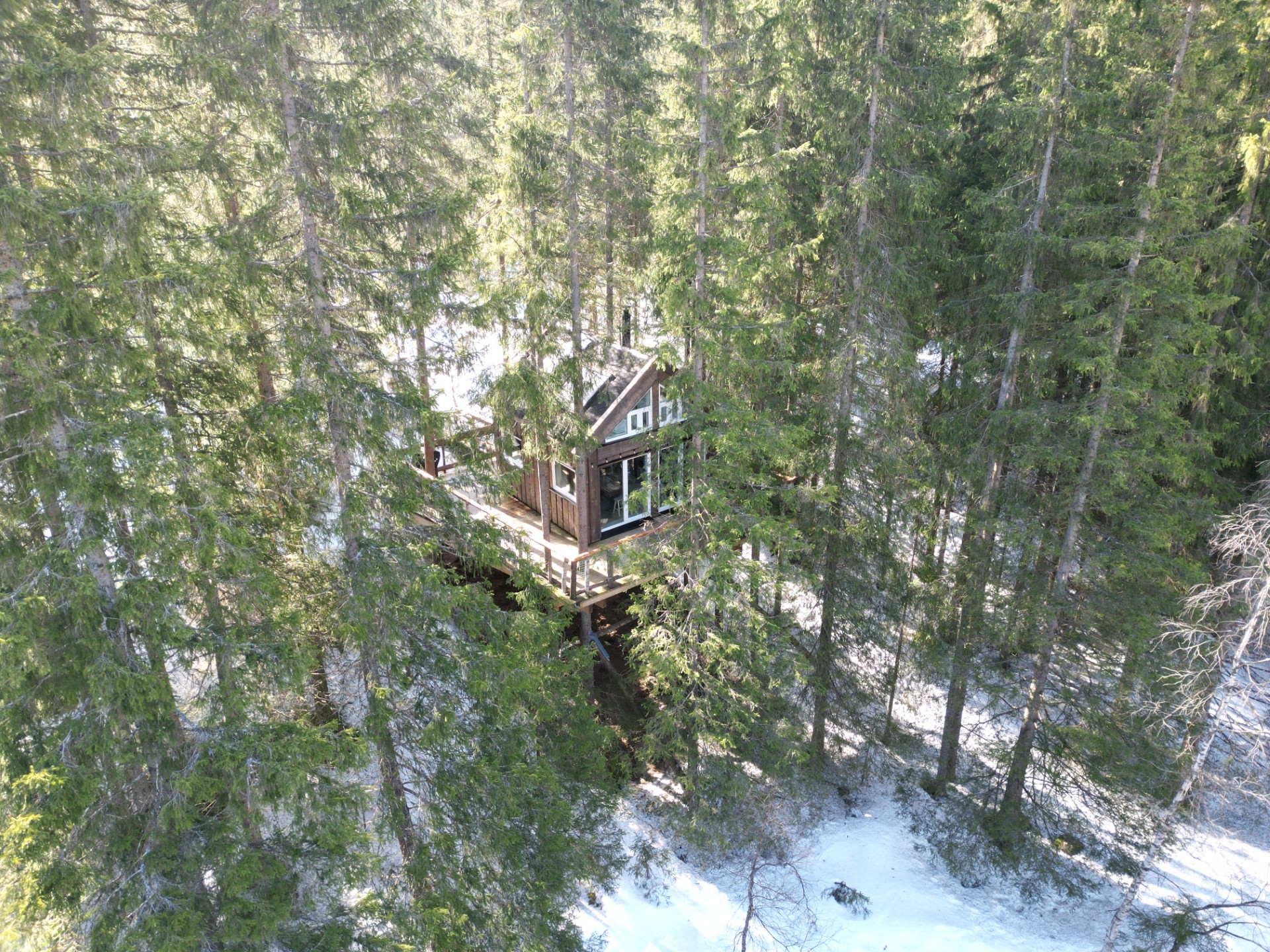 Lårdal Tretopphytter (tretopphytte.jpg)